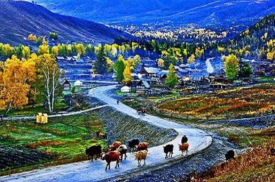 11H10M Xinjiang Utara, China | AMI Travel