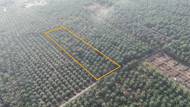 Agricultural Land in Parit Raja, JHR