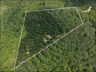 Agricultural Land in Temerloh, PHG