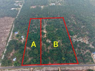 Agricultural Land in Ayer Hitam, JHR