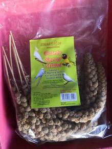 Gaiety Sporay Millet (Millet Beetangkai) Bird Feed