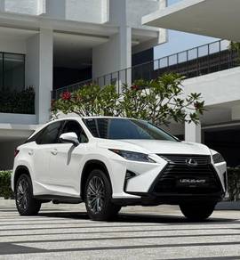 2018 Lexus RX 300 LUXURY
