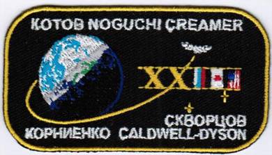 NASA International Space Expedition 23 Patch