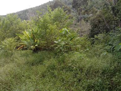 Agricultural Land in Kuala Kangsar, PRK