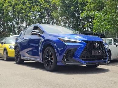 Lexus NX 350 F SPORT in Bukit Jelutong, SGR