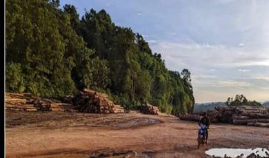 Agricultural Land in Rompin, PHG