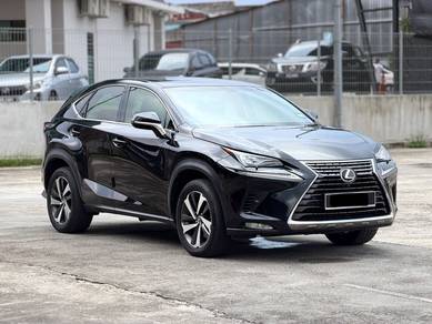 2019 Lexus NX 300 PREMIUM