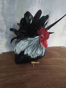 japanese bantam 