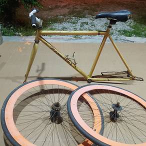 Basikal Fixie dewasa 