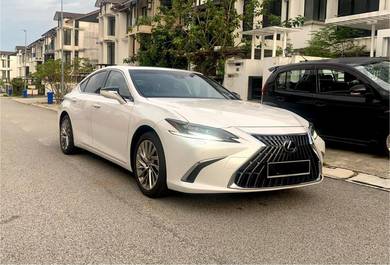 Lexus ES 250 LUXURY in Kota Damansara, SGR