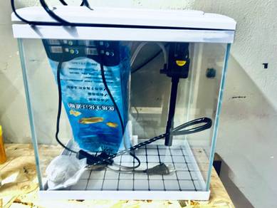 Fish Tank Aquarium