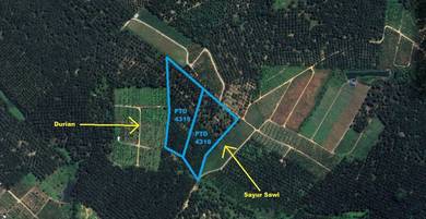 Agricultural Land in Batu Pahat, JHR