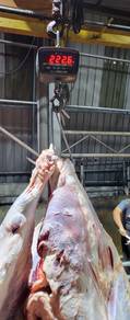 Daging Lembu