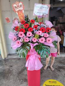 Grand opening flower Stand 开张花(站）Fresh 鲜花 