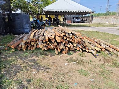 kayu pagar