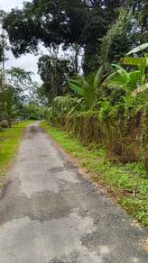 Agricultural Land in Hulu Langat, SGR
