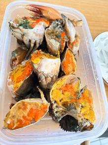 Ketam Bertelur Frozen Tarakan