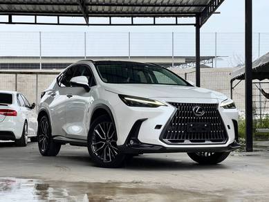 2023 Lexus NX 250 LUXURY