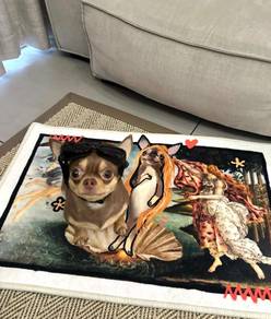 Chihuahua