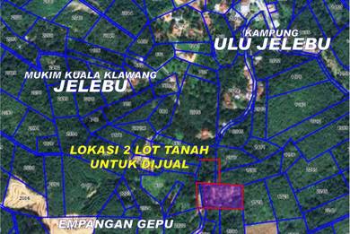 Agricultural Land in Kuala Klawang, NSN