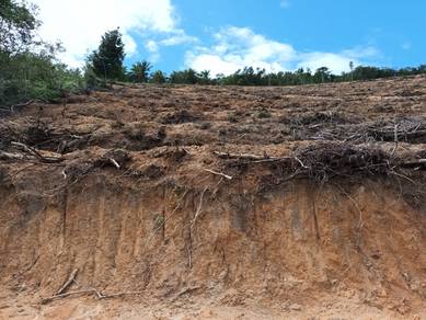 Agricultural Land in Parit, PRK