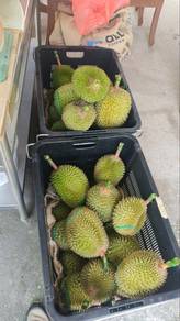 Finest Rich Creamy Musang King Durian