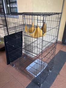 Sangkar kucing
