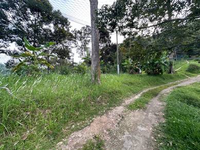 Agricultural Land in Sungai Ara, PNG