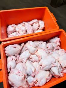 promosi raya haji rm10 ayam segar 1.7-2kg