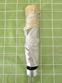 Compact Silver Umbrella