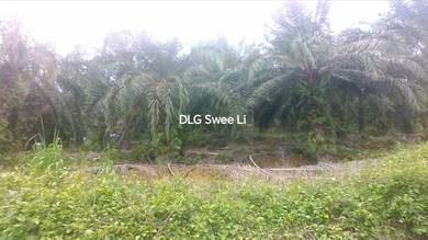 Agricultural Land in Kuala Pilah, NSN