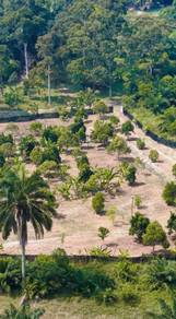 Agricultural Land in Lenggeng, NSN