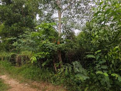 Residential Land in Tuaran, SBH