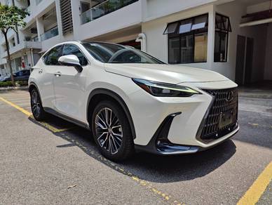 Lexus NX 250 LUXURY in Sungai Besi, KUL