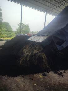 Sekam padi bakar dgn Lori 6477