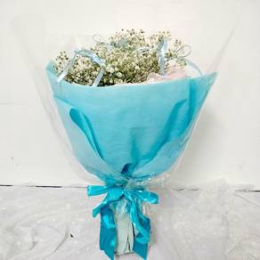 Fresh Baby's Breath Hand Bouquet