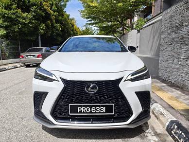 Lexus NX 250 F SPORT in Georgetown, PNG
