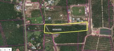 Agricultural Land in Kota Kinabalu, SBH