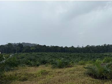 Agricultural Land in Sedenak, JHR