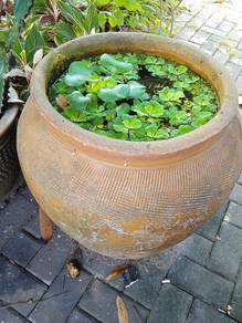 Terracotta Pot / Tempayan