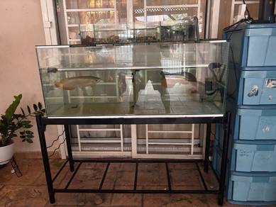 aquarium 4ft