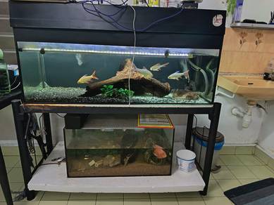 Fish Tank complete set with stand