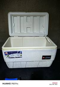 Igloo 49 liter Tong Ais