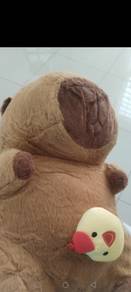 New capybara doll