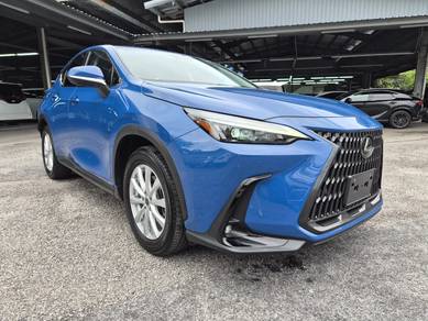 Lexus NX 250 BASE GRADE in Chan Sow Lin, KUL