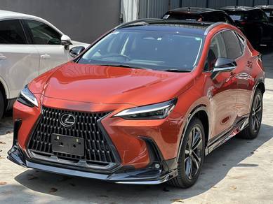 2022 Lexus NX 250 LUXURY
