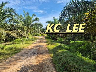 Agricultural Land in Bandar Baharu, KDH