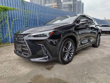 2023 Lexus NX 250 LUXURY