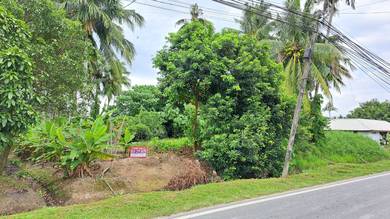 Agricultural Land in Telok Panglima Garang, SGR