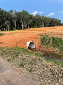 Agricultural Land in Sungai Udang, MLK